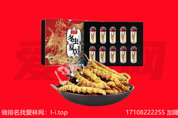 淄博回收虫草.jpg